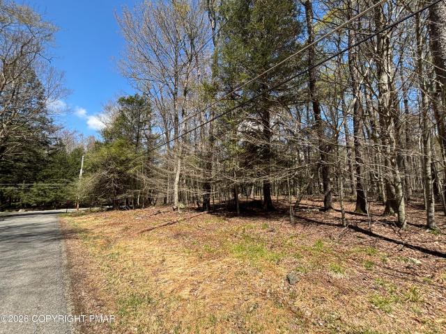 Land for sale in Newfoundland, Pennsylvania