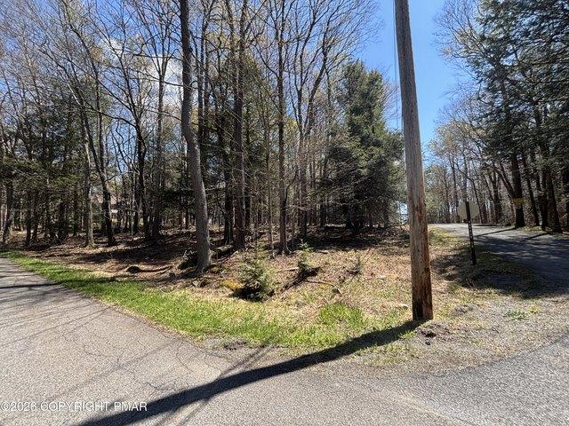 Land for sale in Newfoundland, Pennsylvania