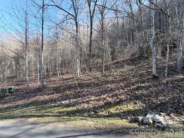 Land for sale in North Carolina