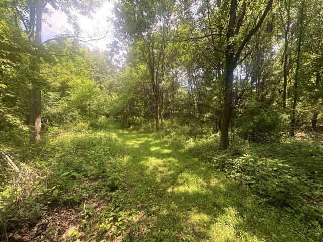 Land for sale in Michigan