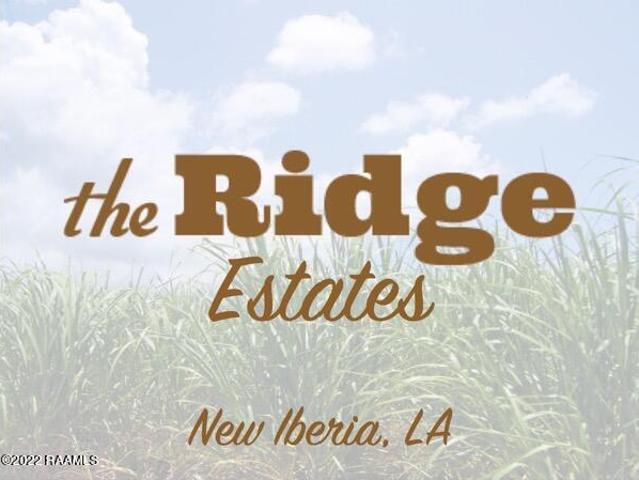 Land for sale in Iberia, Louisiana