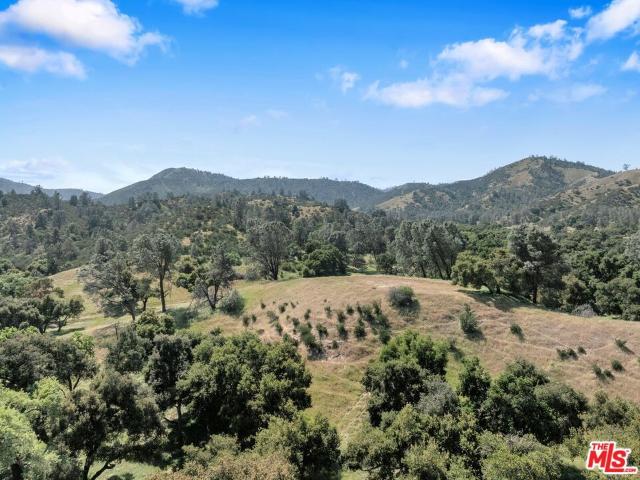 Land for sale in Hollister, California