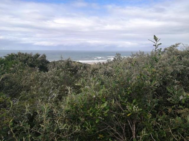 Land for sale in Amathole District Municipality, Eastern Cape