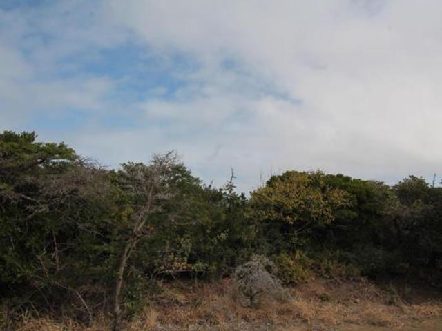 Land for sale in Bushmans River Mouth, Eastern Cape