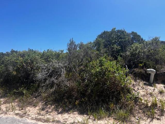Land for sale in Eastern Cape