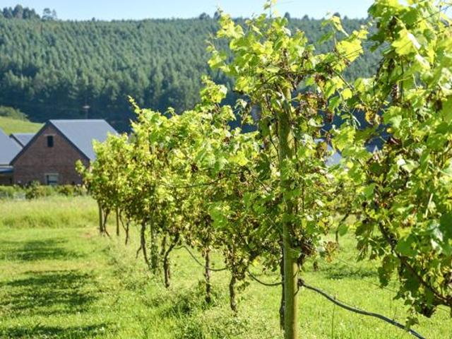 Land for sale in Umgungundlovu, Kwazulu-natal