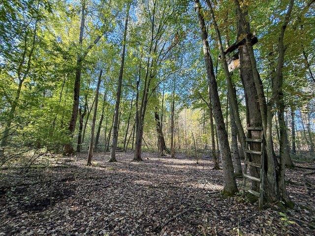 Land for sale in Sand Lake, Michigan