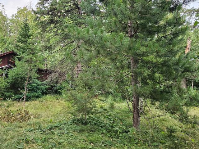 Land for sale in Lake Hubert, Minnesota