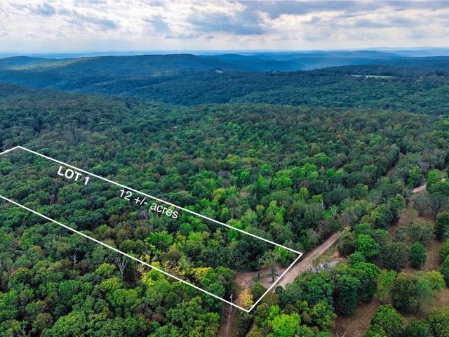 Land for sale in Chester, Crawford County