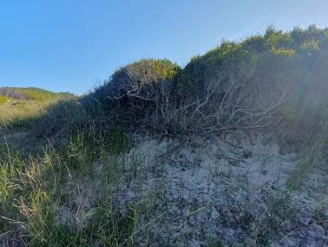 Land for sale in Cape St Francis, Eastern Cape