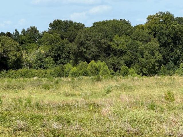 Land for sale in Crockett, Texas