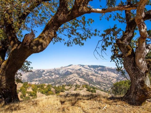 Land for sale in Laytonville, California