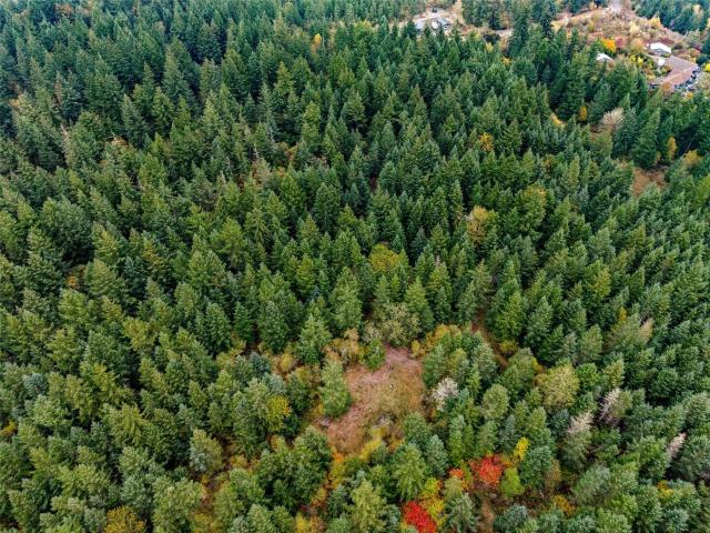 Land for sale in Skookumchuck, Tenino