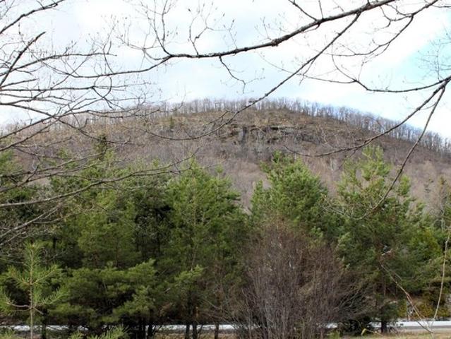 Land for sale in Indian Lake, New York