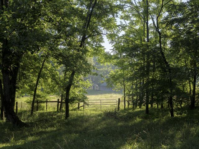 Farm for sale in Tennessee