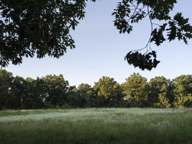 Farm for sale in Tennessee