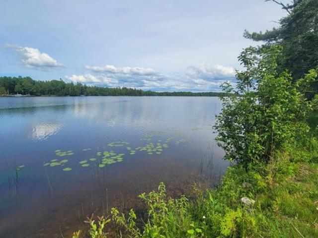 Land for sale in Onaway, Michigan