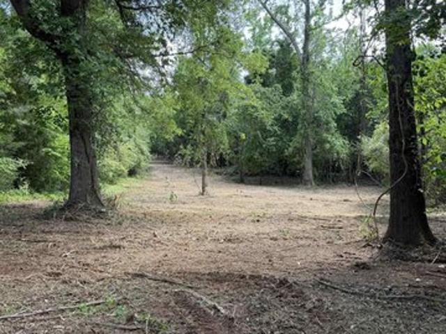 Land for sale in Laurens, South Carolina