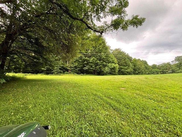 Land for sale in Nettie, West Virginia