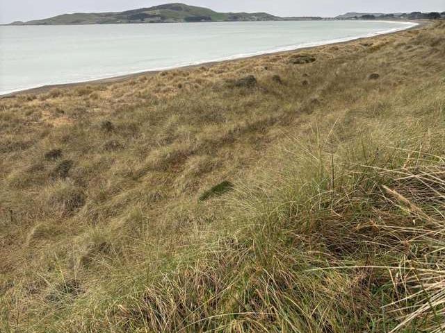 Land for sale in Longwood, Southland