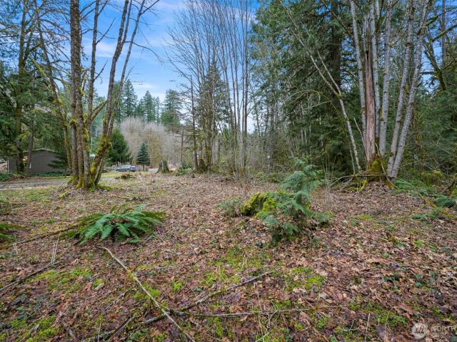 Land for sale in Maple Falls, Whatcom County