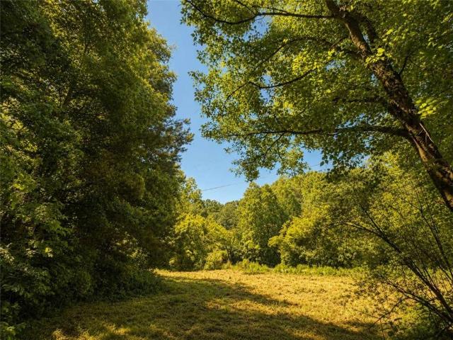 House for sale in Pickens, Georgia