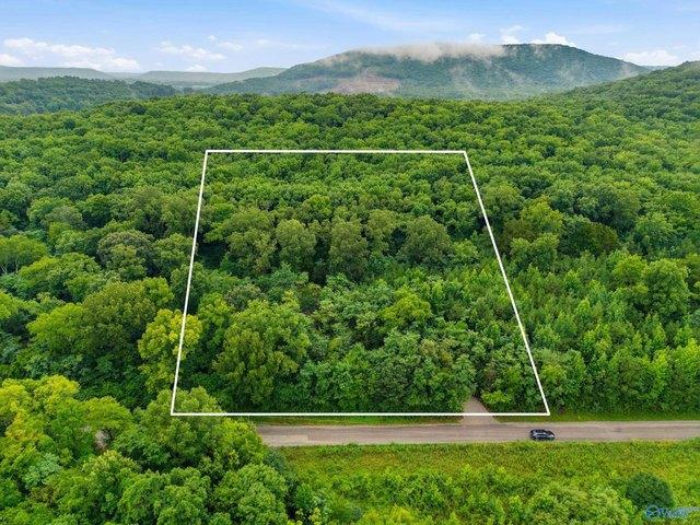 Land for sale in Alabama