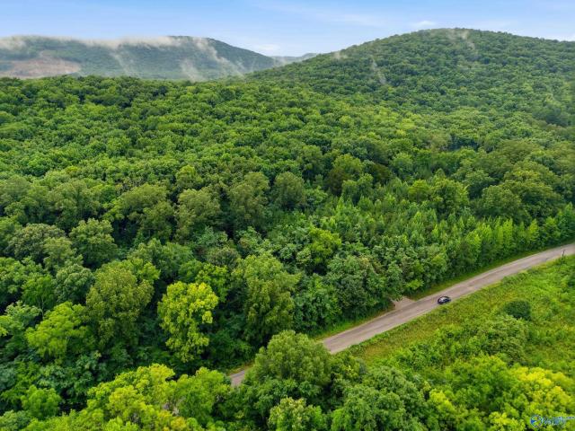 Land for sale in Huntsville, Morgan County