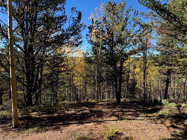 Land for sale in Midland, Divide