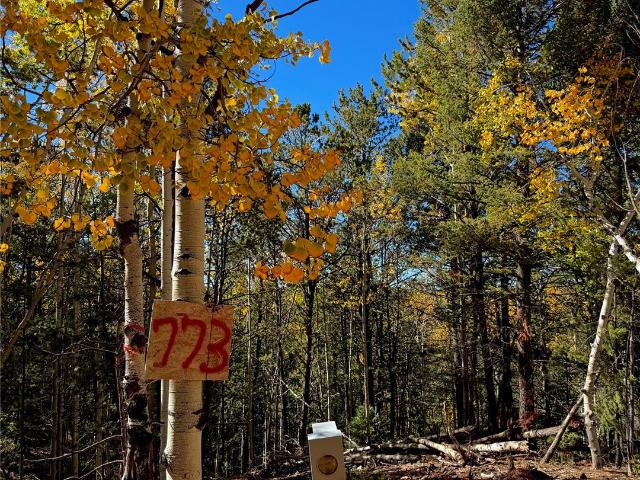 Land for sale in Midland, Divide