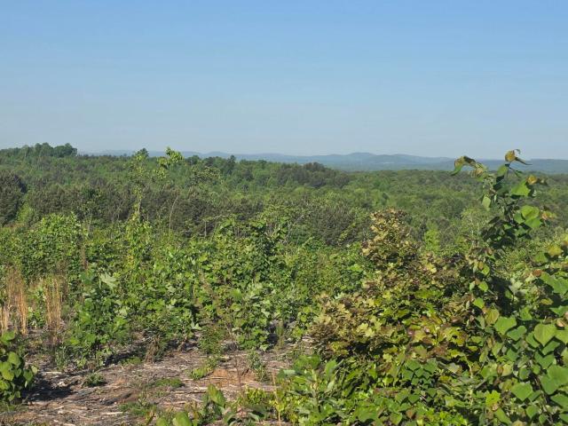 Land for sale in Asheboro, North Carolina
