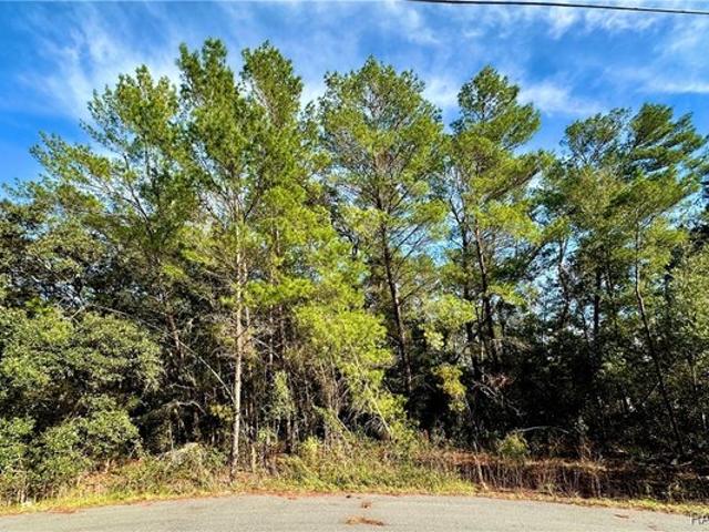Land for sale in Florida