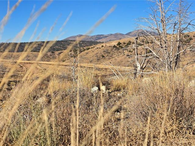 Land for sale in Fort Garland, Colorado