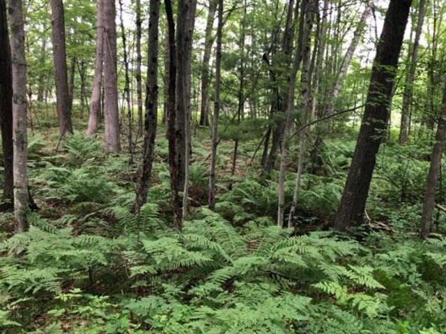Land for sale in Michigan