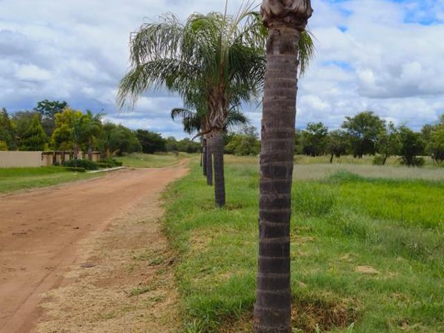 Land for sale in Limpopo