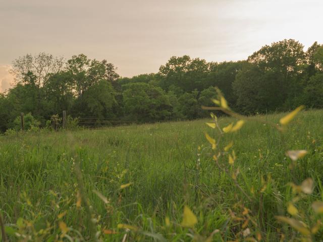 Farm for sale in Tennessee
