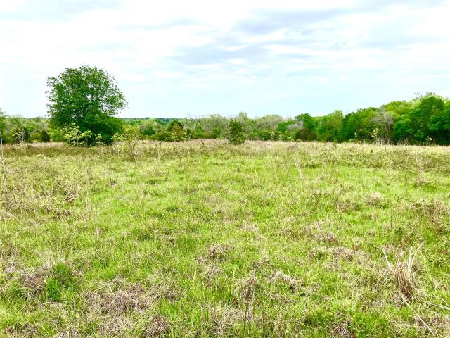 Land for sale in Wharton, Texas