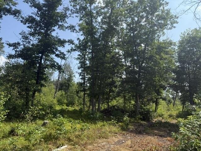 Land for sale in Baldwin, Michigan