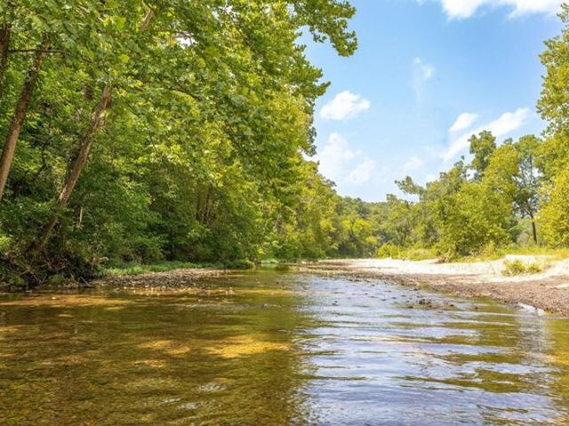 Land for sale in Walnut Shade, Missouri