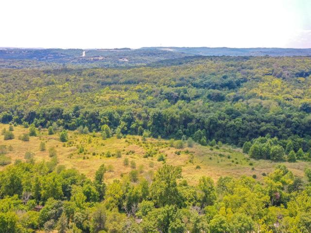 Property for sale in Walnut Shade, Missouri