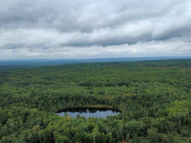Land for sale in Hubbard Lake, Michigan