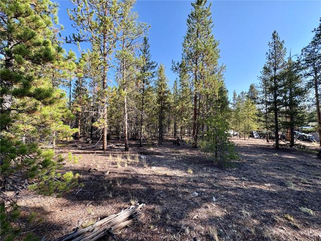 Land for sale in Twin Lakes, Colorado