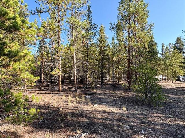 Land for sale in Twin Lakes, Colorado