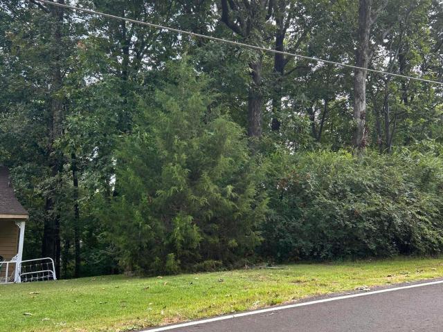 Land for sale in Hernando, Mississippi
