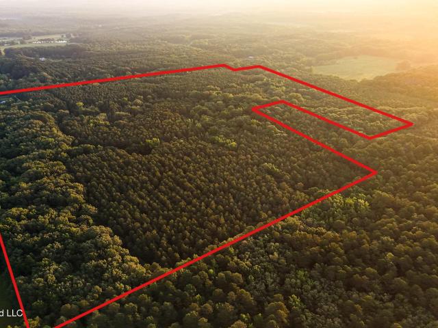 House for sale in Winston, Mississippi