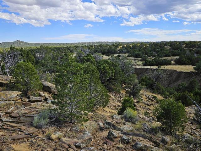 Land for sale in Walsenburg, Colorado
