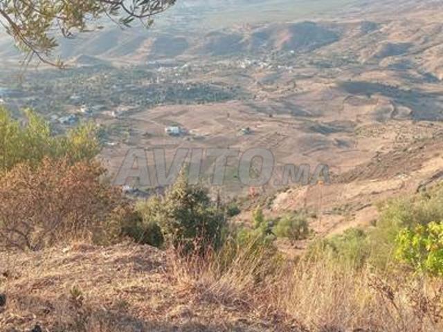 Propriété vente à Chauen, Tanger-Tétouan