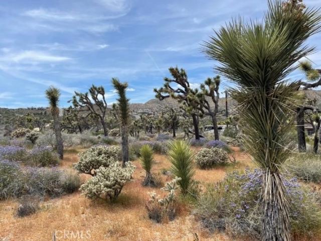 Land for sale in Yucca Valley, California