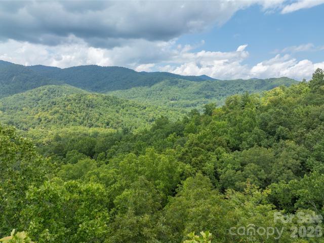 Land for sale in Candler, North Carolina