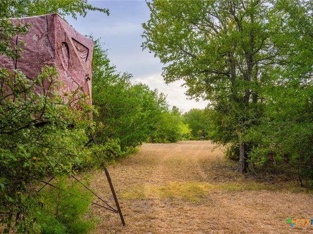Farm for sale in Cameron, Milam County